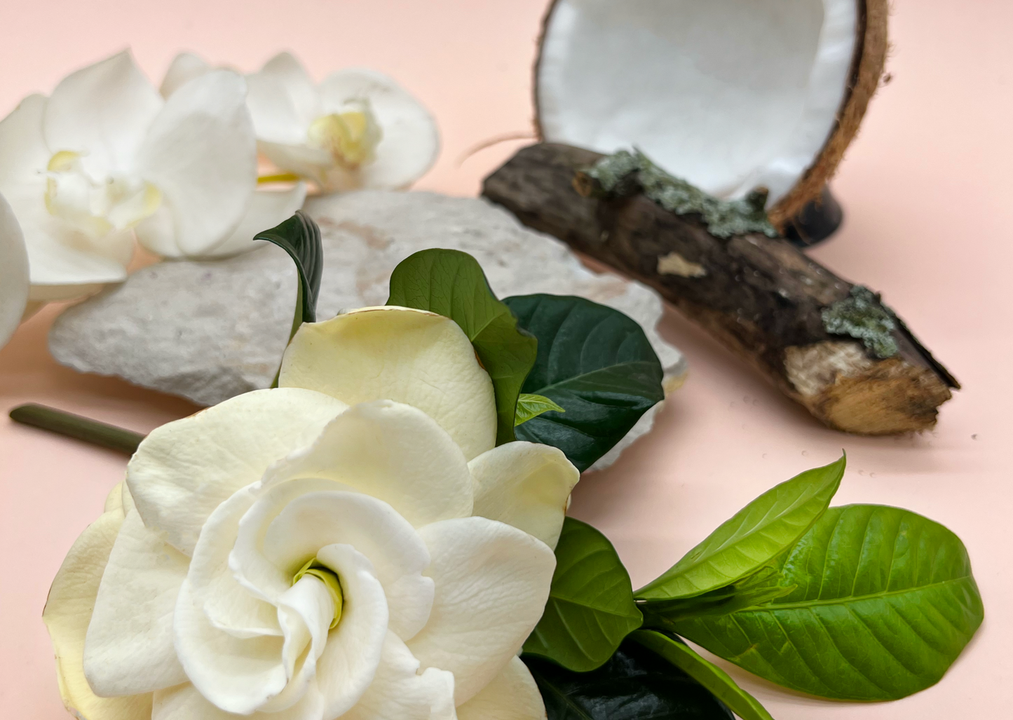 No 15. Gardenia D'Afrique: Jabón Espumoso y Crema Hidratante