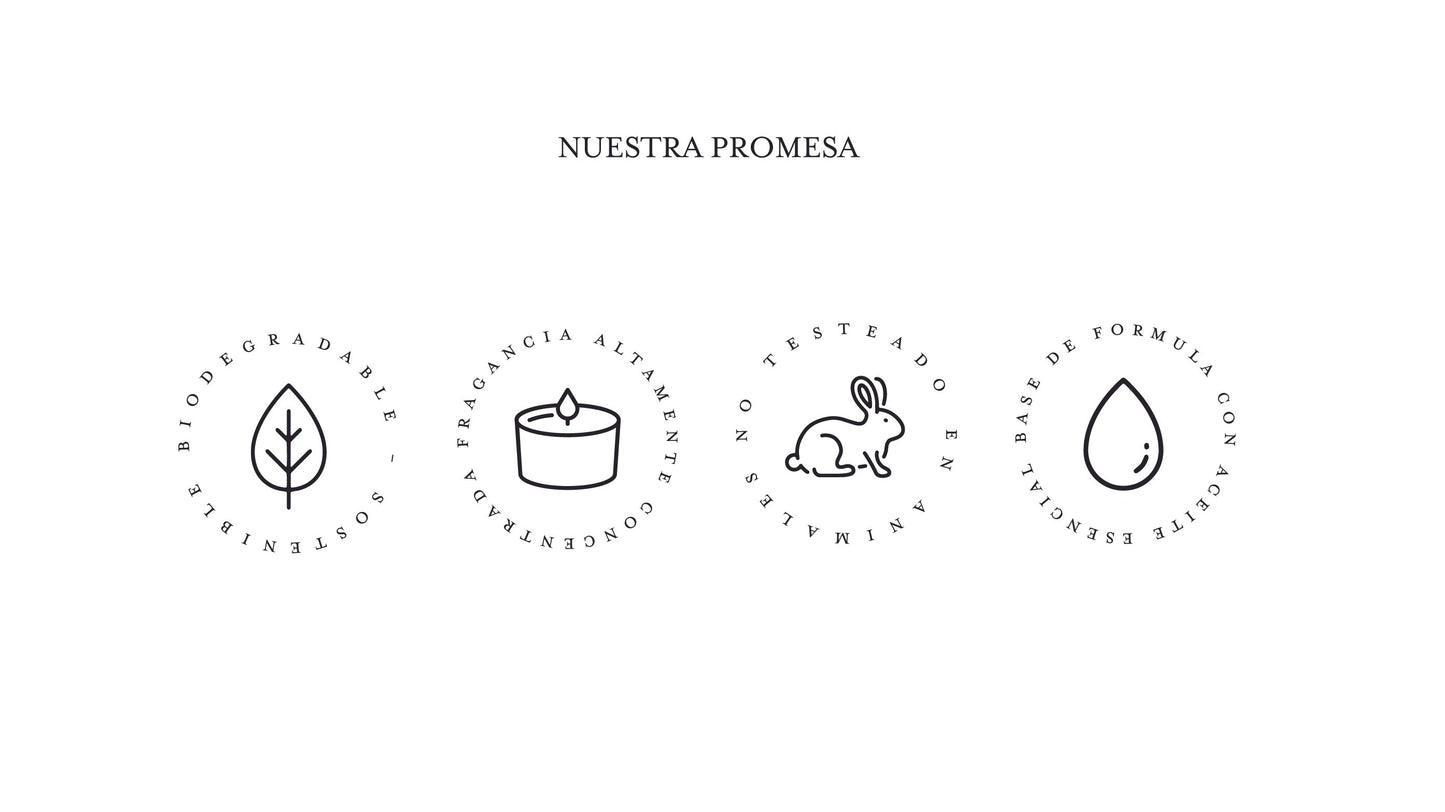 No 24. Sapin de Nöel