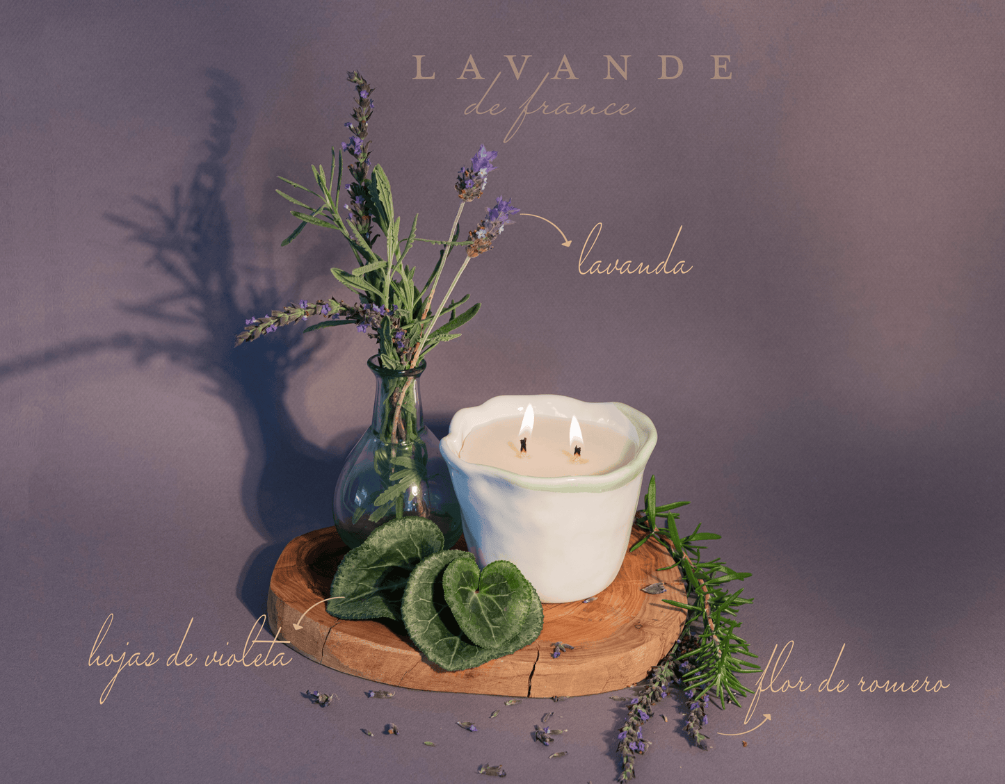 No 22. Lavande de France