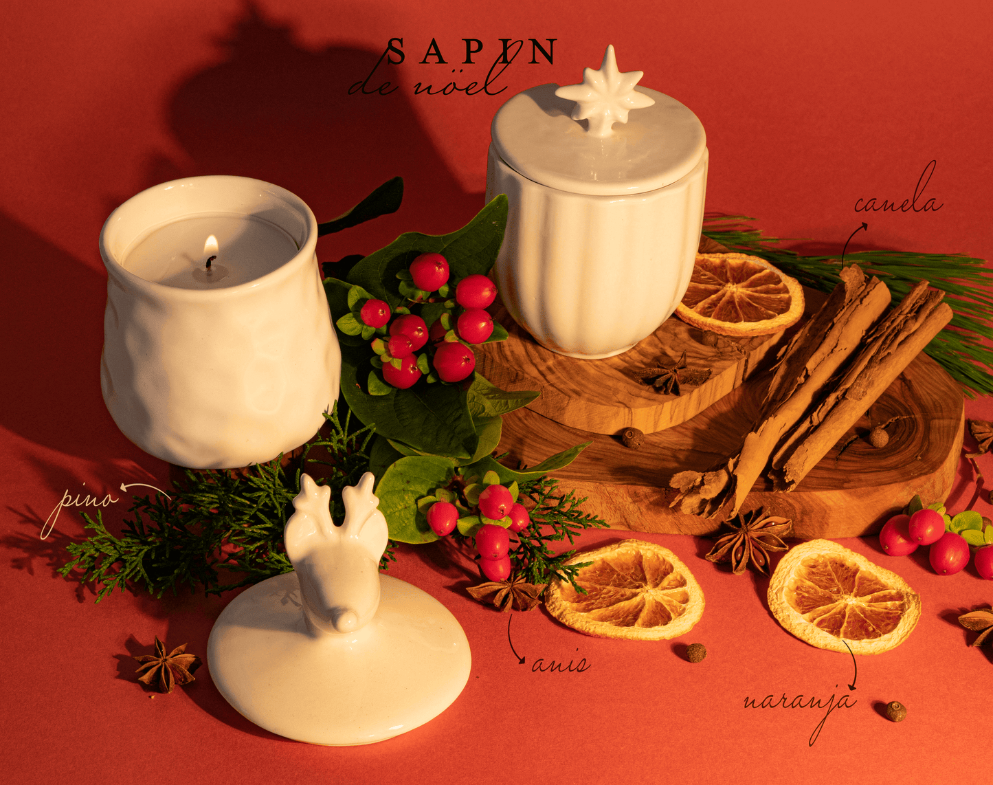 No 24. Sapin de Nöel